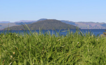 Lake Rotorua Hamurana